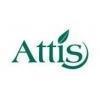 Attis