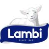 Lambi