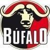 Bufalo