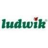 Ludwik