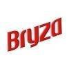 Bryza