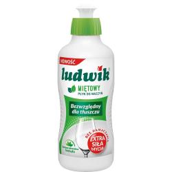 Ludwik do naczyń 250g mięta
