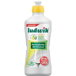 Ludwik do naczyń 450g cytrusy z zieloną herbatą