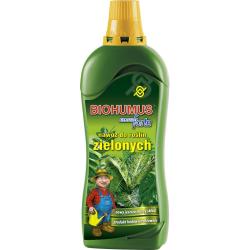 Agrecol nawóz do roślin zielonych Biohumus Super Forte 1,2L