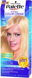 Palette farba N12 mroźny jasny blond
