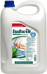 Ludwik do naczyń 5kg balsam aloes