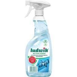 Ludwik płyn do zatłuszczonych powierzchni 600ml Active Foam