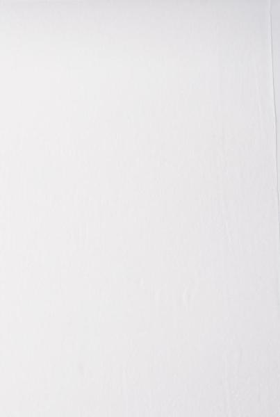 Hase 7124 Autocut ręcznik papierowy 2W 250m 6 rolek Biały