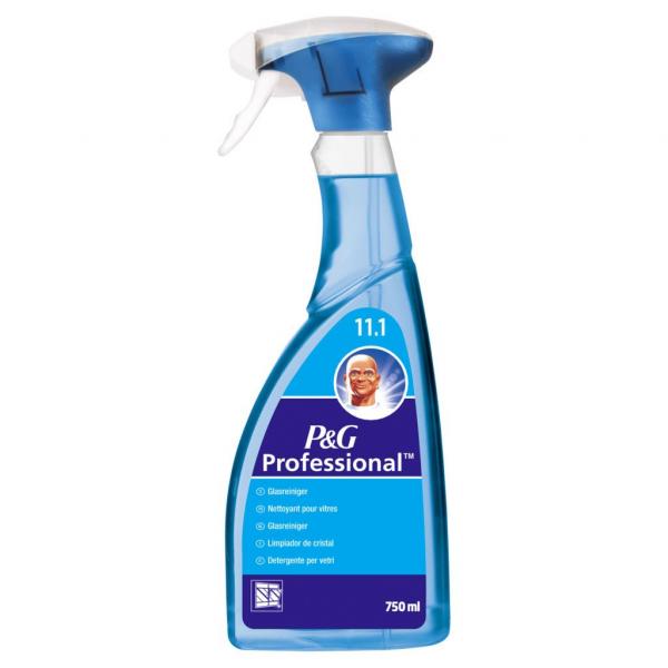 Mr. Proper P&G Professional spray do szyb 750ml
