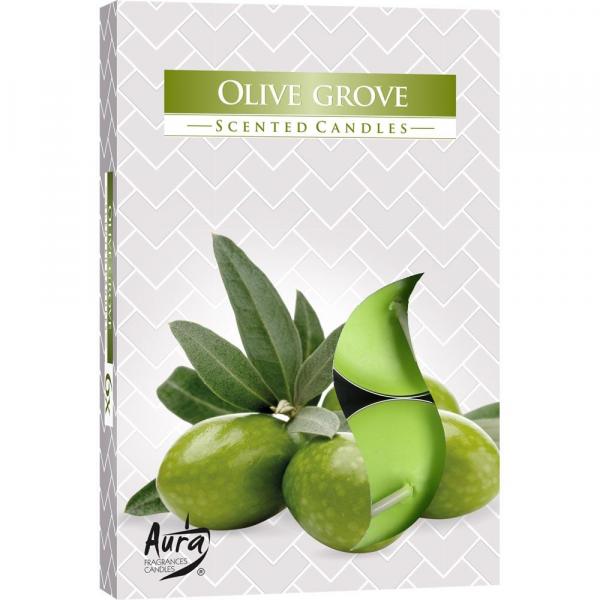 Bispol podgrzewacze zapachowe Olive Grove 6 sztuk p15-315
