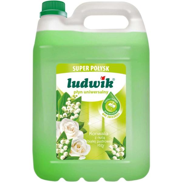 Ludwik płyn uniwersalny 5L super połysk