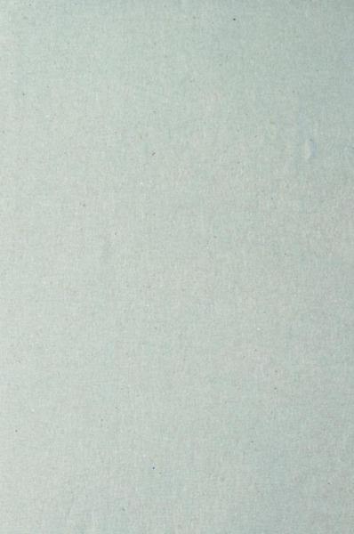 Hase 7131 Autocut ręcznik papierowy 1W 250m 6 rolek Zielony