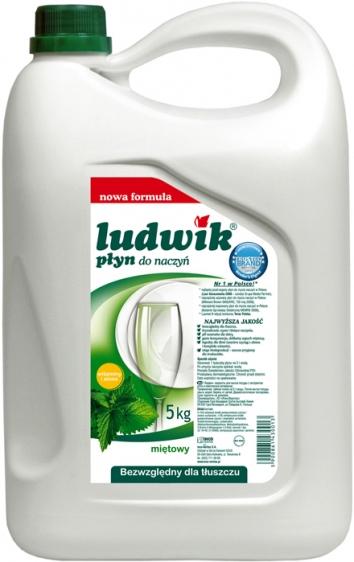 Ludwik do naczyń 5kg mięta